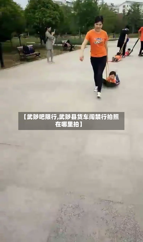 【武陟吧限行,武陟县货车闯禁行拍照在哪里拍】-第1张图片