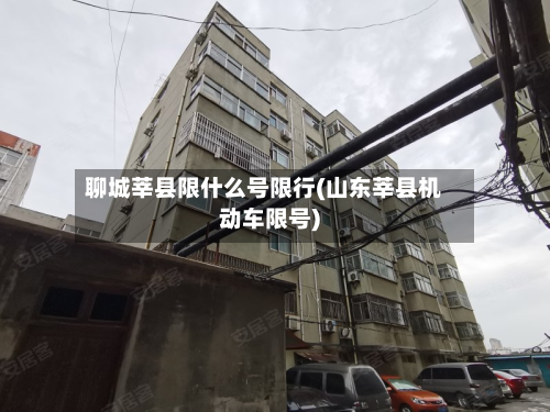 聊城莘县限什么号限行(山东莘县机动车限号)-第1张图片