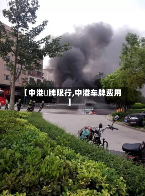 【中港車牌限行,中港车牌费用】-第2张图片