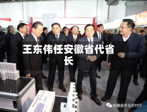 王东伟任安徽省代省长-第3张图片