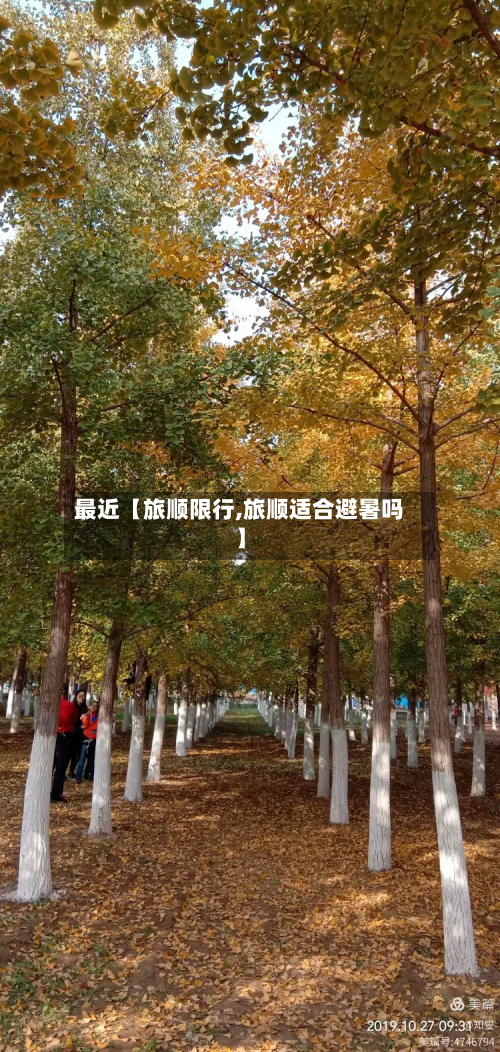 最近【旅顺限行,旅顺适合避暑吗】-第2张图片